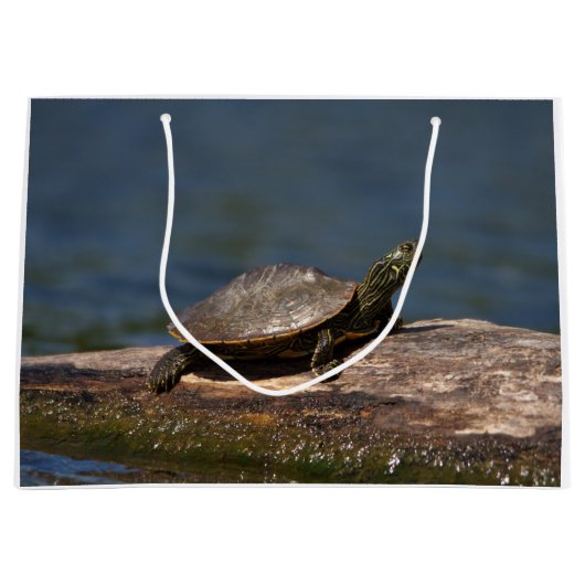 Schildschildpad op een logboek groot cadeauzakje (Voorkant)