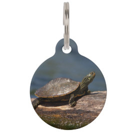 Schildschildpad op een logboek huisdierpenning