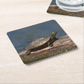 Schildschildpad op een logboek kartonnen onderzetters (Schuin)