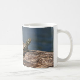 Schildschildpad op een logboek koffiemok