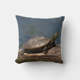 Schildschildpad op een logboek kussen