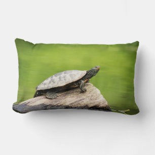 Schildschildpad op een logboek kussen