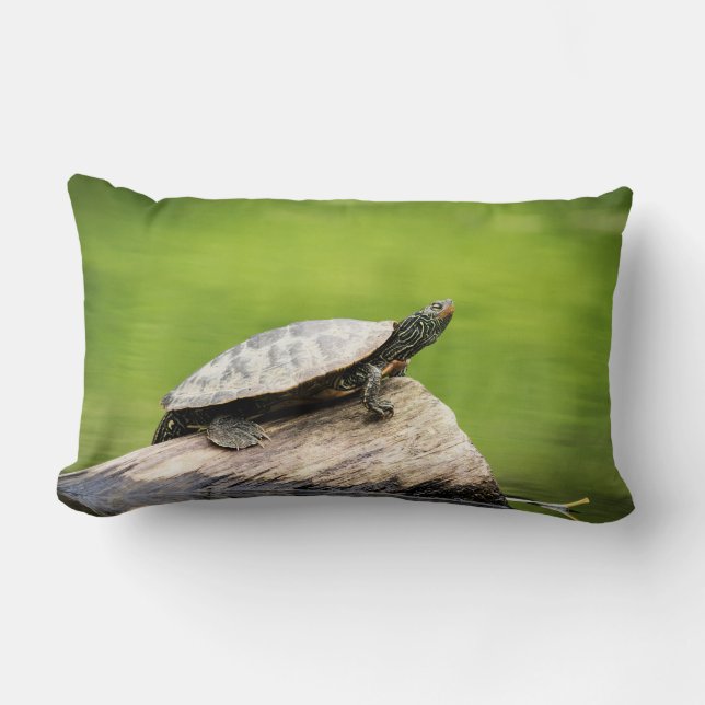 Schildschildpad op een logboek kussen (Voorkant)