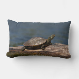 Schildschildpad op een logboek kussen