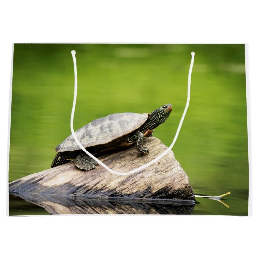 Schildschildpad op een logboek large cadeautasje (Voorkant)