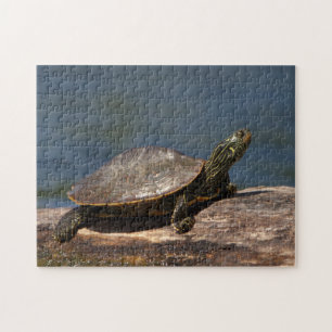 Schildschildpad op een logboek legpuzzel