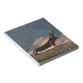 Schildschildpad op een logboek notitieblok (Schuin)
