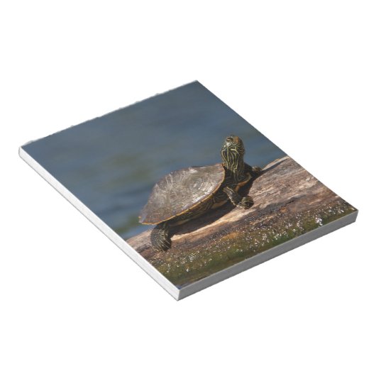 Schildschildpad op een logboek notitieblok (Schuin)