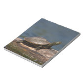 Schildschildpad op een logboek notitieblok (Linkerzijde)