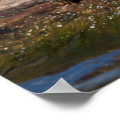 Schildschildpad op een logboek poster (Hoek)