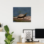 Schildschildpad op een logboek poster (Thuiskantoor)