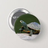 Schildschildpad op een logboek ronde button 5,7 cm (Voorkant /achterkant)