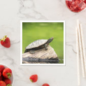 Schildschildpad op een logboek servet (Insitu)