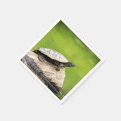Schildschildpad op een logboek servet (Hoek)