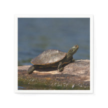 Schildschildpad op een logboek