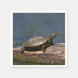 Schildschildpad op een logboek servet