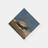 Schildschildpad op een logboek servet (Hoek)