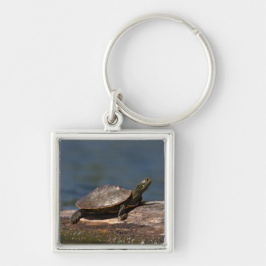 Schildschildpad op een logboek sleutelhanger (Voorkant)