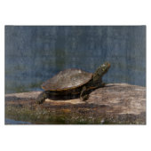 Schildschildpad op een logboek snijplank (Voorkant)