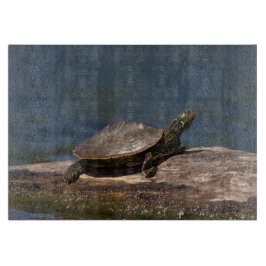 Schildschildpad op een logboek snijplank