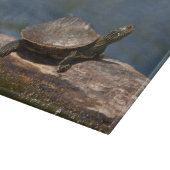 Schildschildpad op een logboek snijplank (Hoek)