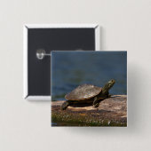 Schildschildpad op een logboek vierkante button 5,1 cm (Voorkant /achterkant)