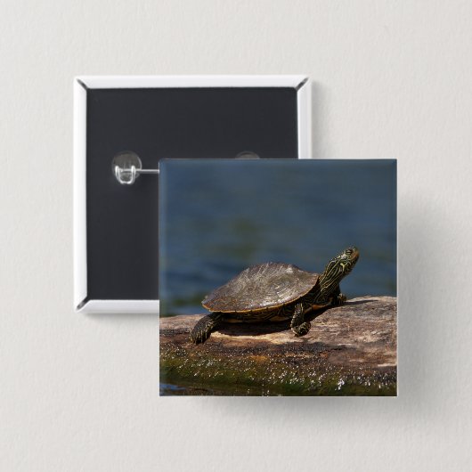 Schildschildpad op een logboek vierkante button 5,1 cm (Voorkant /achterkant)