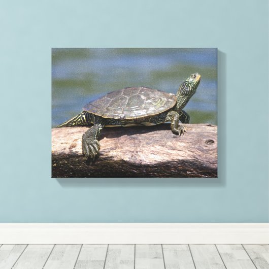 Schildschildpad op een zonnige dag canvas afdruk (Insitu (Houten vloer))