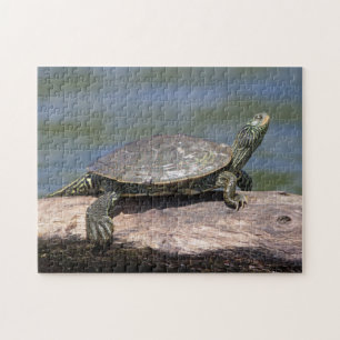 Schildschildpad op een zonnige dag legpuzzel