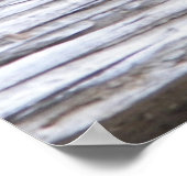 Schildschildpad op Poster met schildpadmaat (Hoek)