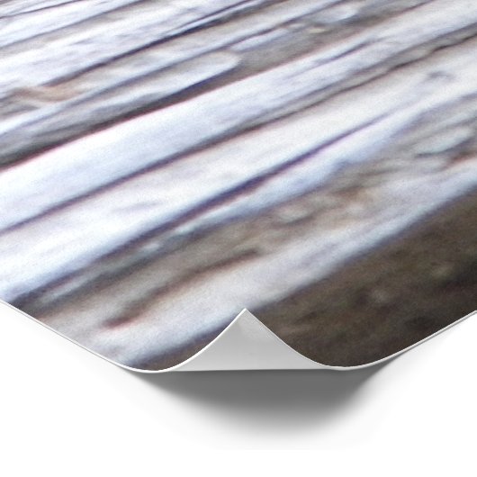 Schildschildpad op Poster met schildpadmaat (Hoek)