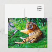 Schildslingertijger in het gras in het wild briefkaart (Voorkant / Achterkant)
