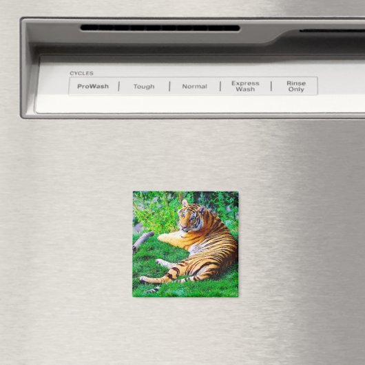 Schildslingertijger in het gras in het wild magneet (Insitu (Vaatwasser))