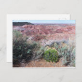 Schildwoestijn Briefkaart (Voorkant / Achterkant)