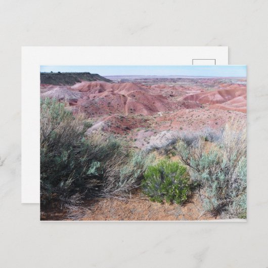 Schildwoestijn Briefkaart (Voorkant / Achterkant)