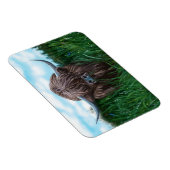 Schilting van de Schotse hoogland-Koe Magneet (Rechterzijde)