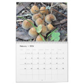 Schimmel en paddenstoelen 2025 kalender (Feb 2026)