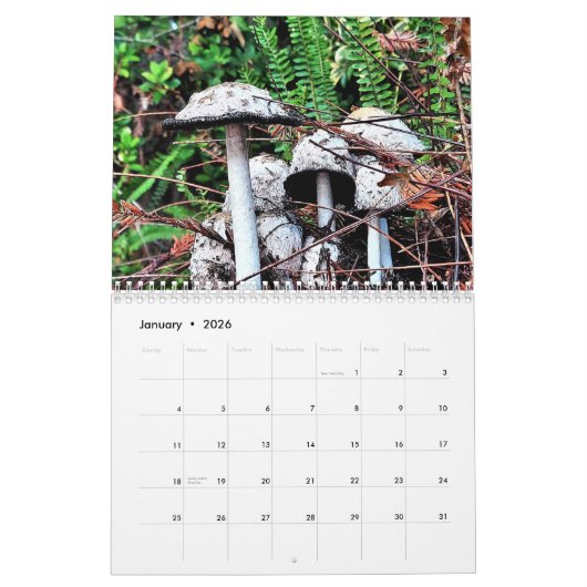 Schimmel en paddenstoelen 2025 kalender (Jan 2026)