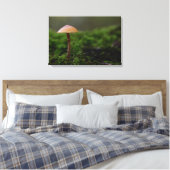 Schimmel in de groene mos canvas print (Insitu (Slaapkamer))
