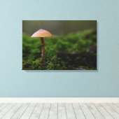 Schimmel in de groene mos canvas print (Insitu (Houten vloer))
