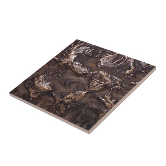 Schimmelbrons-steentextuur Tegeltje (Zijkant)