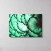 Schimmels / Natuur Abstract Canvas Afdruk (Voorkant)