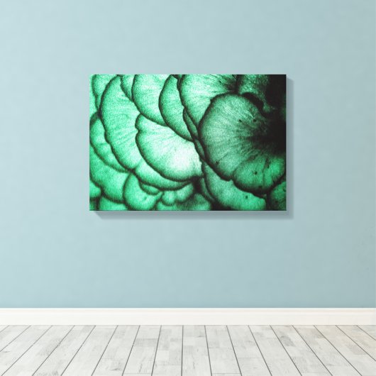 Schimmels / Natuur Abstract Canvas Afdruk (Insitu (Houten vloer))