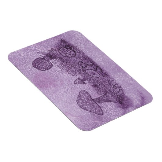 Schimmels weide rechthoek magneet (Rechterzijde)