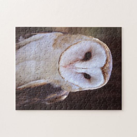 schimmeluil legpuzzel (Horizontaal)