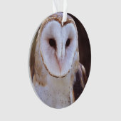 schimmeluil ornament (voorkant)