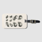 Schinz de Visser Human Monkey en Ape Skulls Bagagelabel (Voorkant (horizontaal))