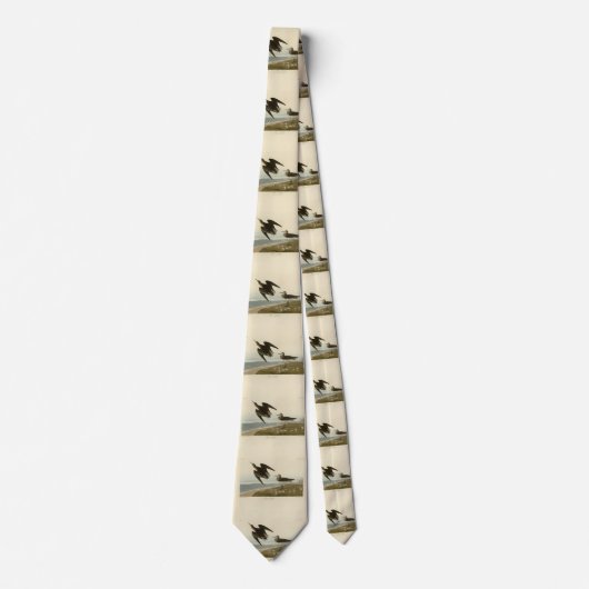 Schinz's Sandpiper uit Audubon's Birds of America Stropdas (Voorkant)