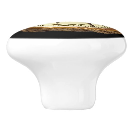 Schip Compass ~ Navigational Device ~ * ~ Keramische Knop (Zijkant)