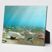 Schip-in-een-fles wrak Plaque Fotoplaat (Zijkant)